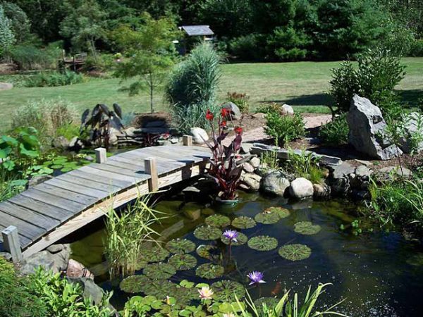 Wooden garden bridges