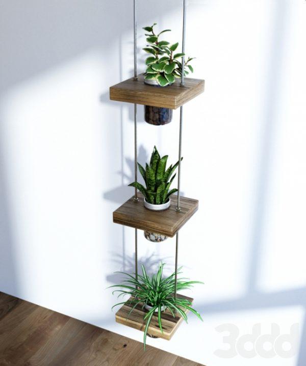 plant shelf