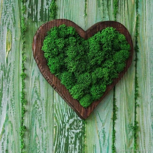 moss wall art