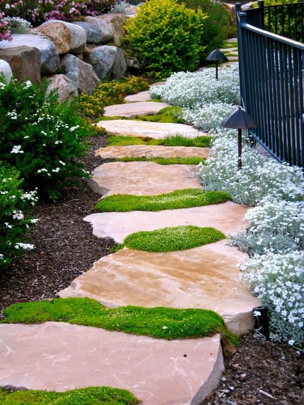 How to decorate with moss in your garden