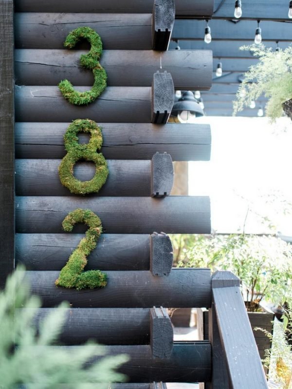 moss decoration ideas