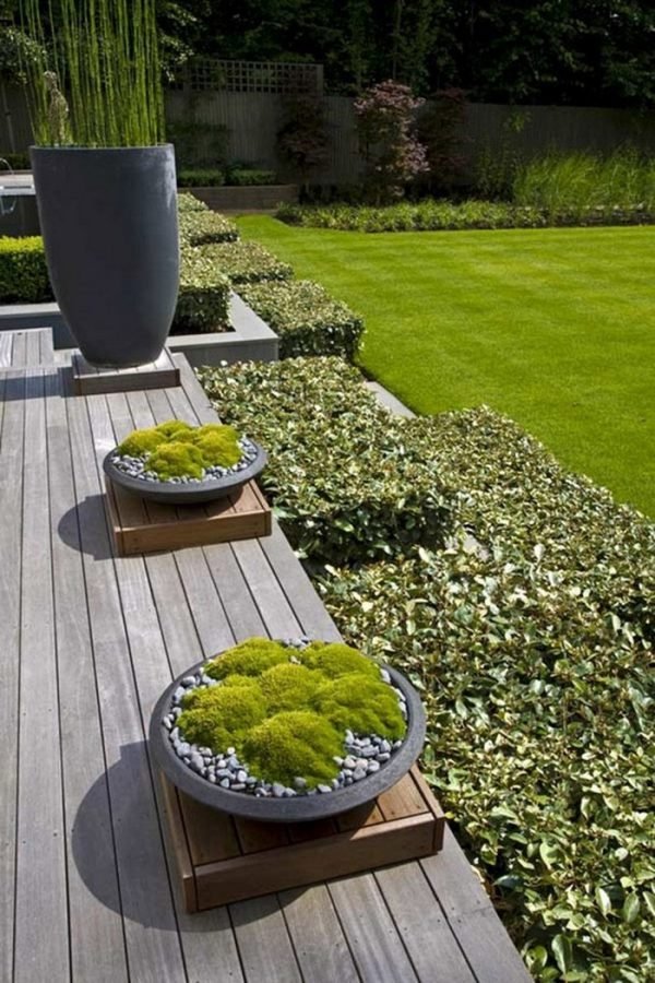 How to decorate with moss in your garden