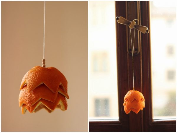 dried fruit hanging decorations