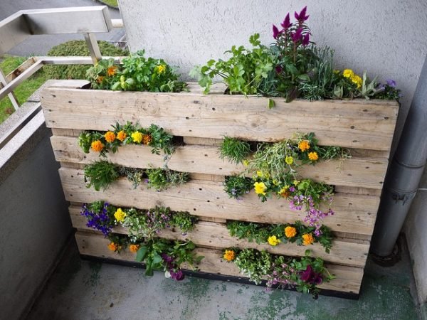 diy pallet planter