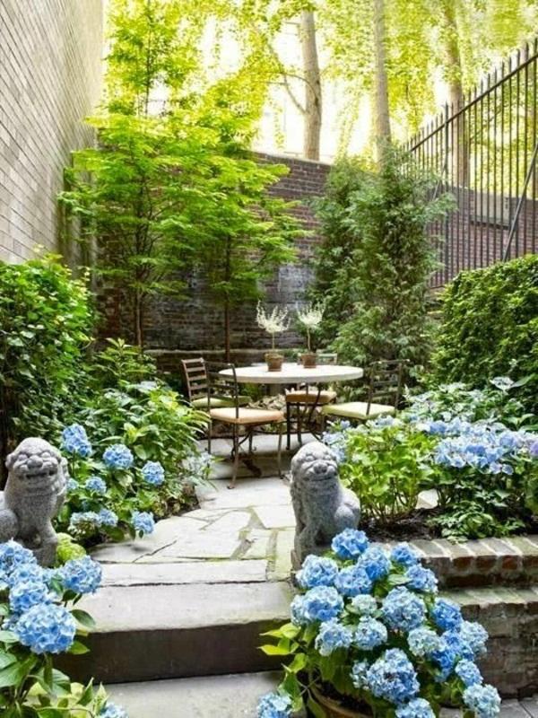 large blue hydrangea