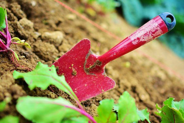 Tools for gardening should own