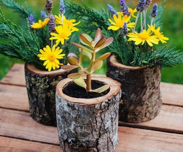 tree trunk plant stand