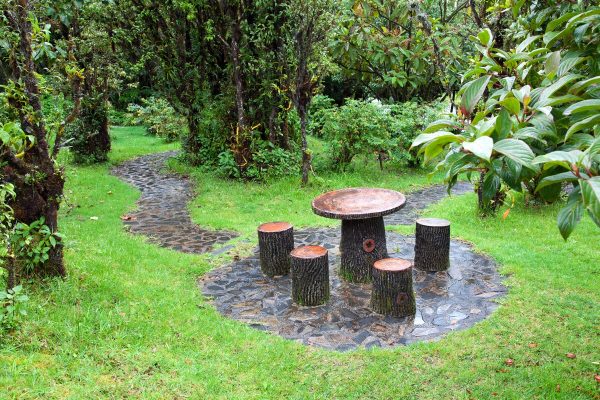 tree trunk garden furniture