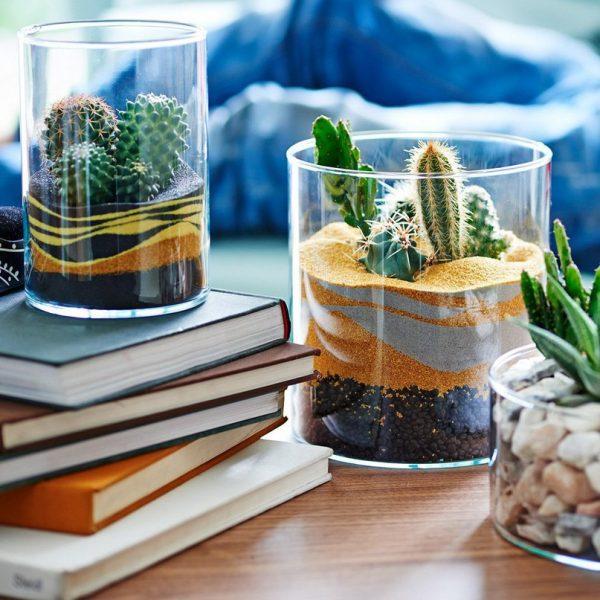 diy terrariums