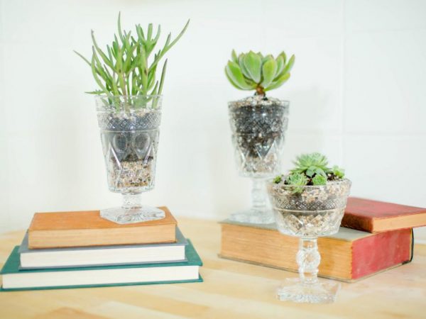 Recycle drinking glasses