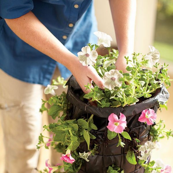 vertical flower bed