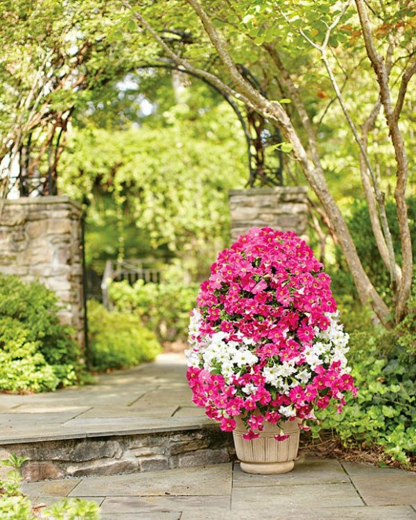 How to create a vertical towers of flowers