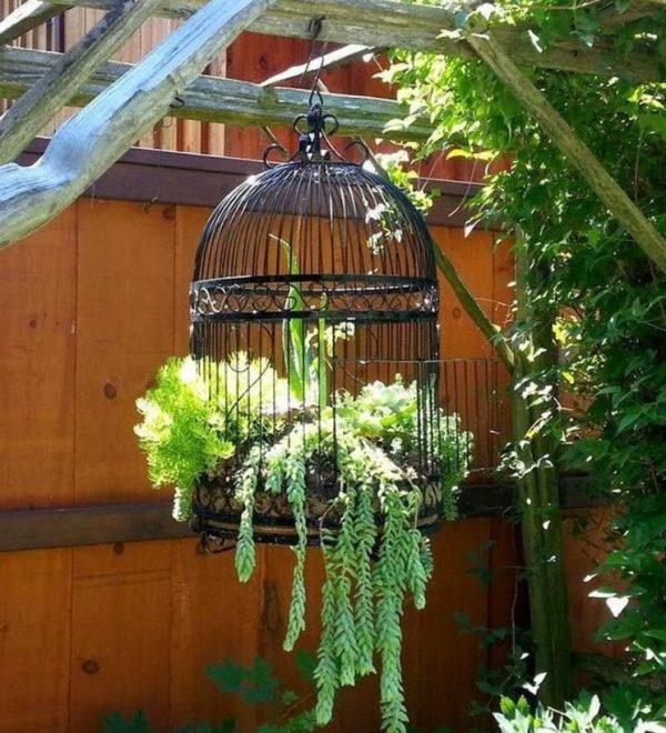 birdcage succulent planter