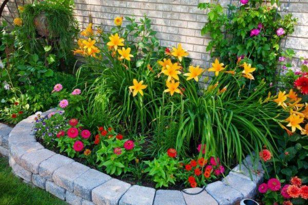 flower bed plants