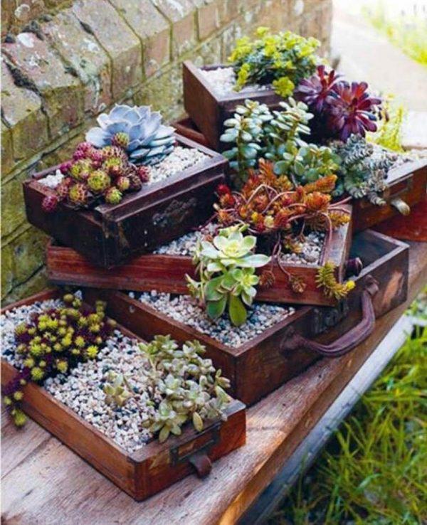 garden planters