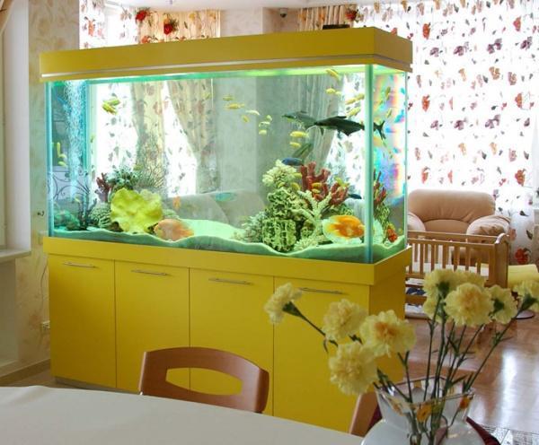  indoor fish tank