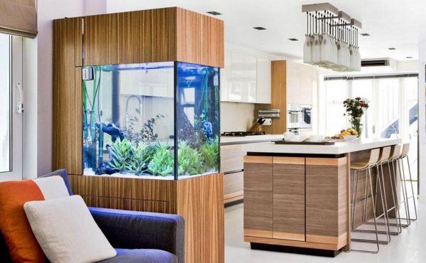 indoor fish aquarium