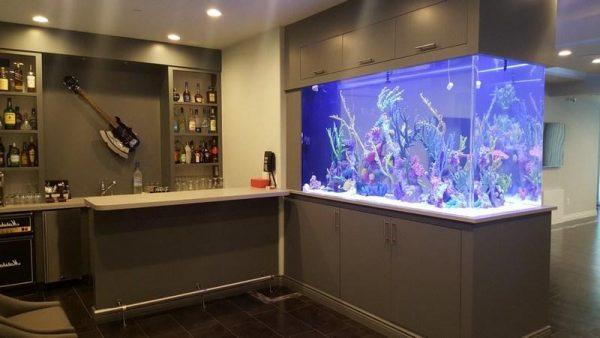 home aquarium