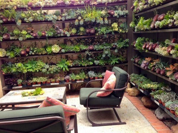 outdoor succulent garden ideas