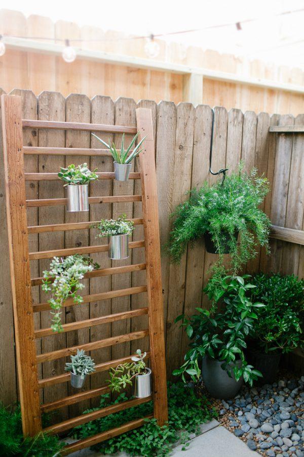 succulent wall garden