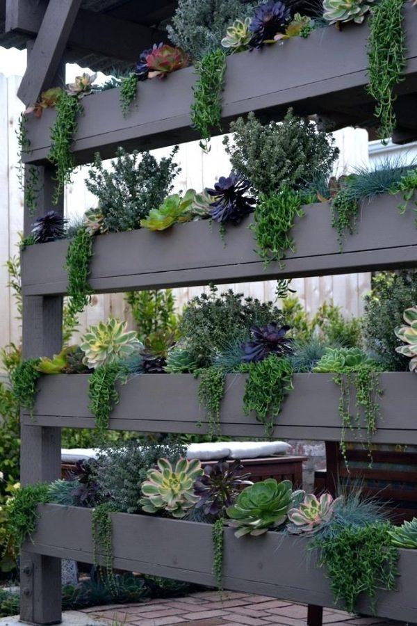 vertical succulent wall