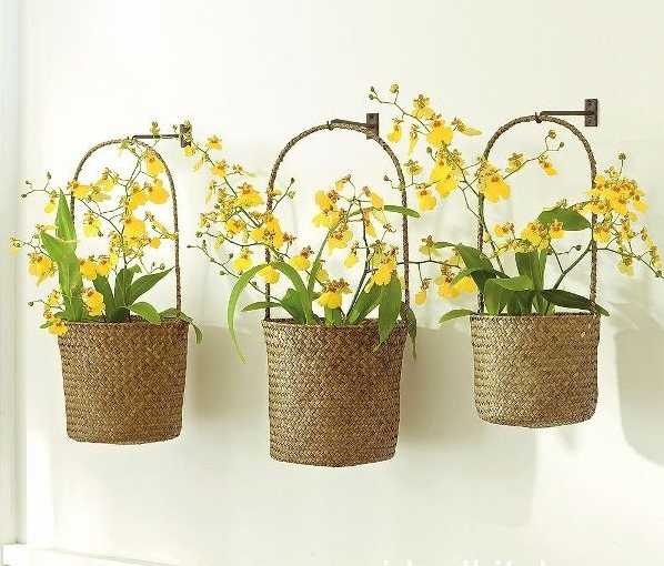 wicker garden planters