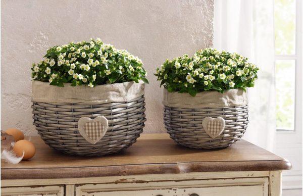 wicker flower pot