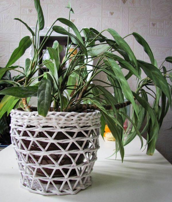 wicker planter