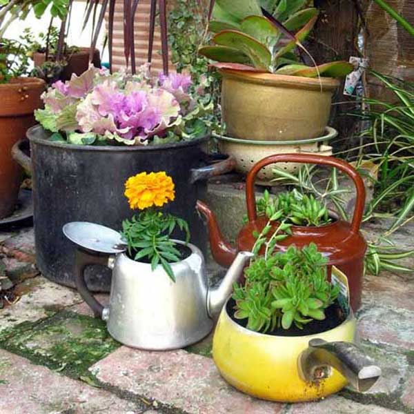 unusual planters