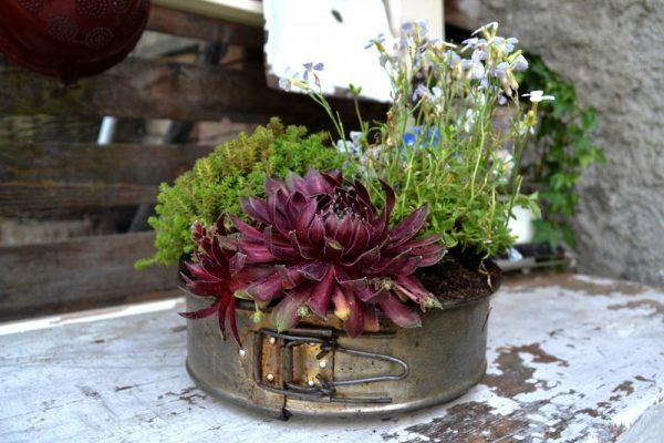 teapot planter