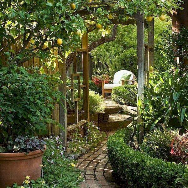 Secret garden landscape