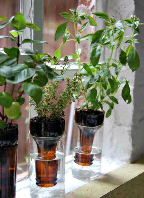 diy herb garden ideas