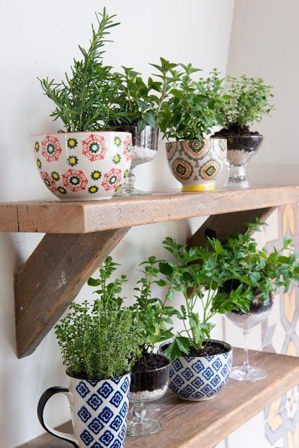 cute herb garden ideas