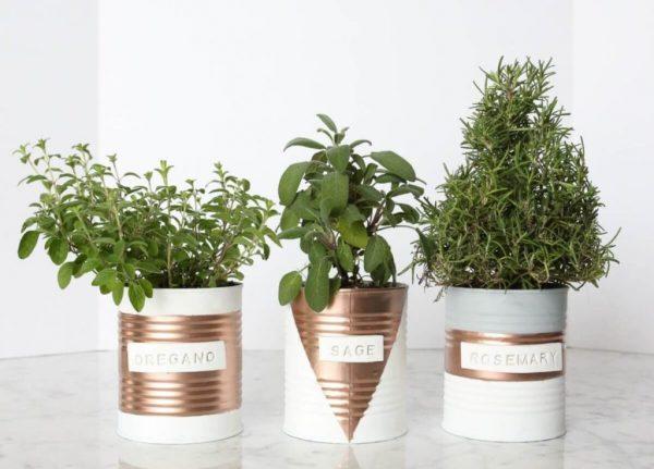 simple herb garden ideas