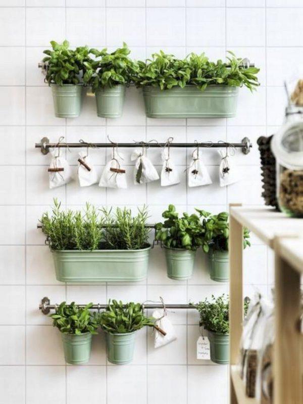 kitchen herb garden