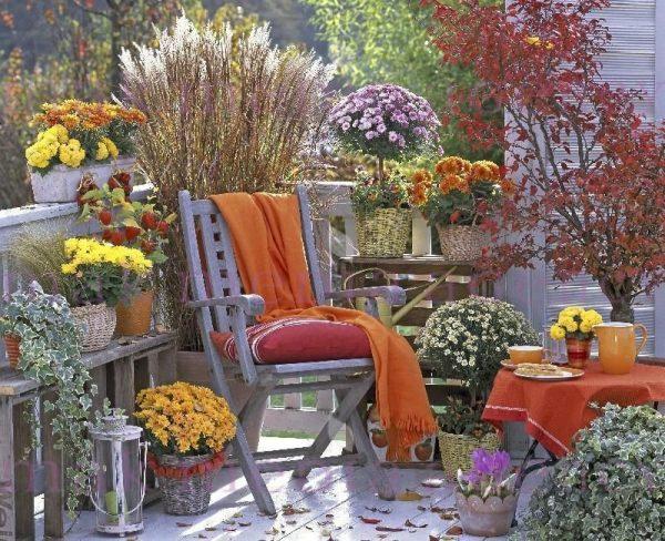 Balcony decoration with beautiful fall flowers