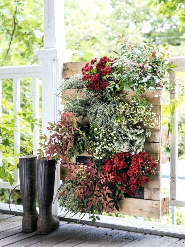 best flowers to plant in fall