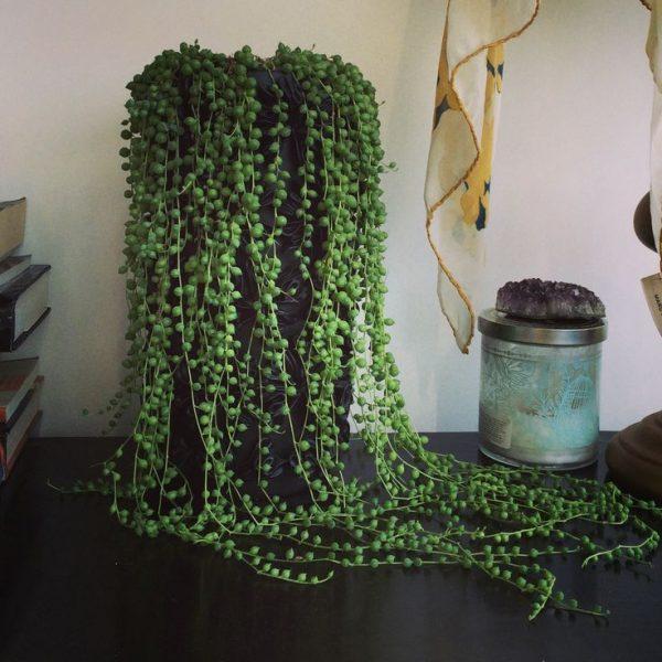 string of pearls