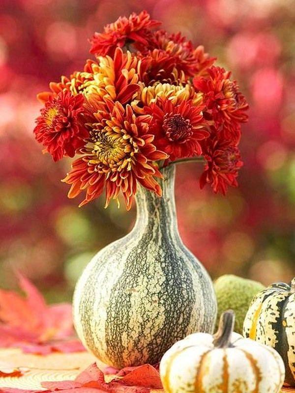 flowers in pumpkin vase