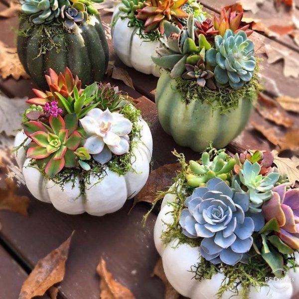 outdoor pumpkin decorations