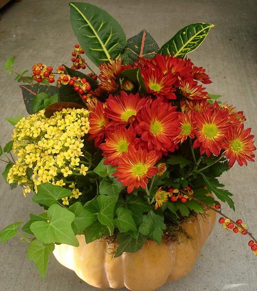 flowers in pumpkins