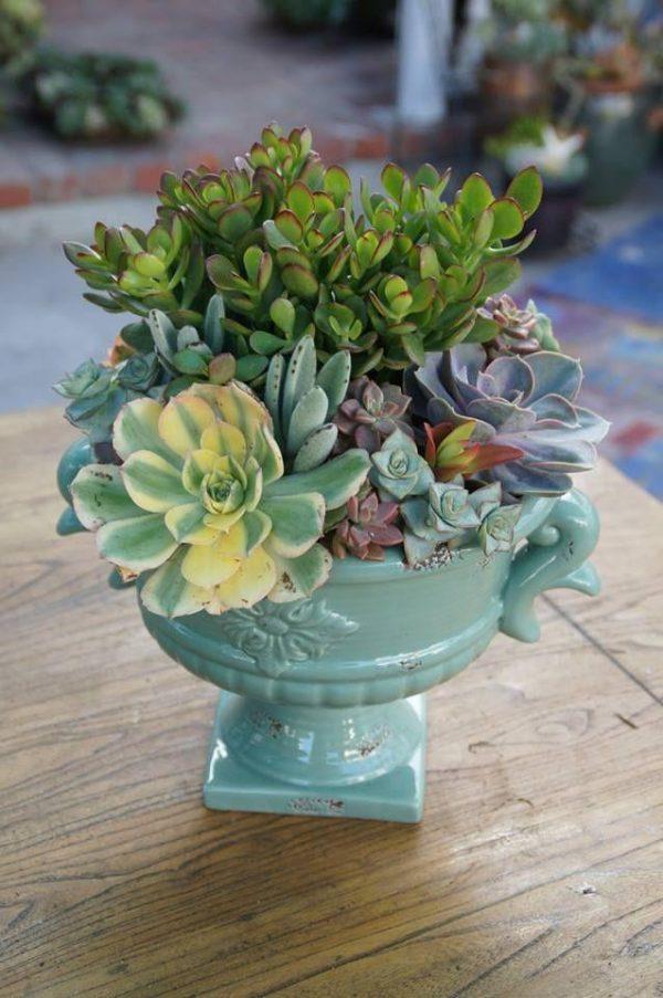 decorative urns for plants