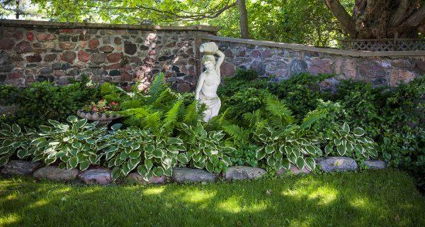 garden in shade