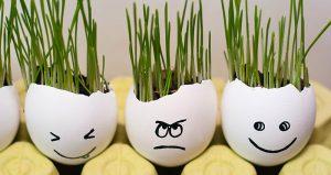 Make this Easter the most beautiful so far! Empty egg shell decorations