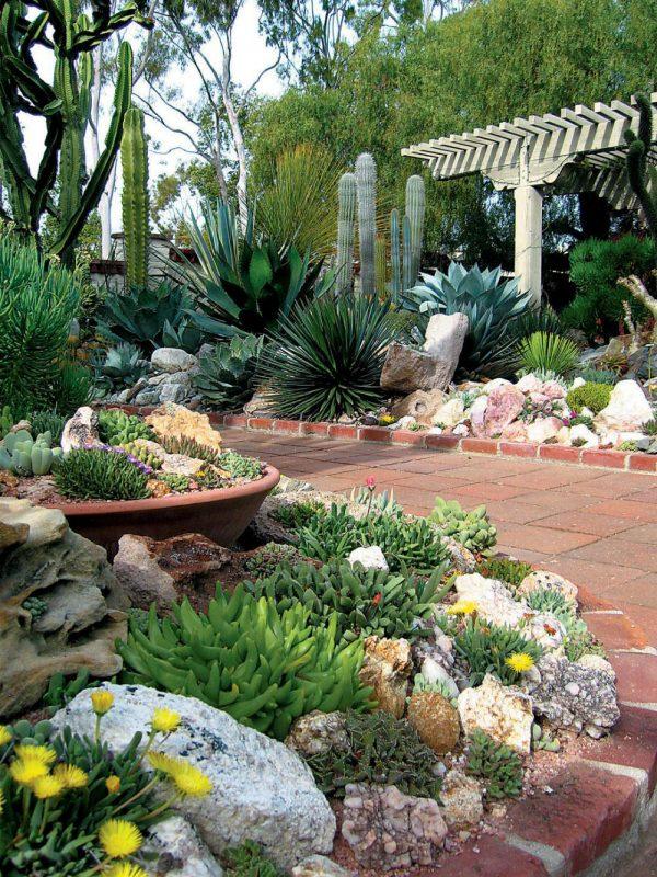 Cactus and succulent gardens