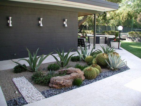 cacti and succulent gardens 1