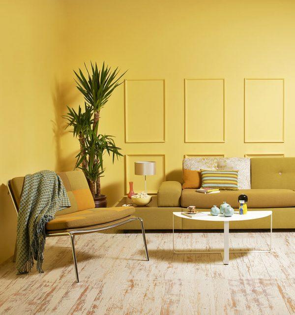 living room color theme ideas