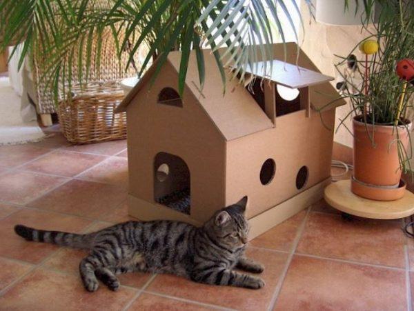 diy cat house box