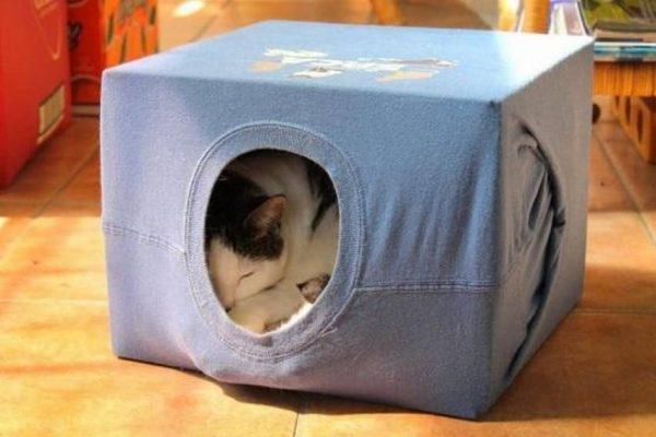 diy cat house t shirt