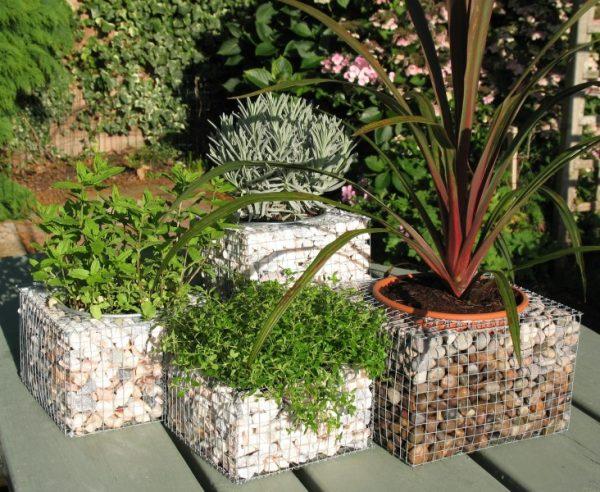 gabion planter boxes